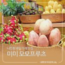 나트랑 과일 가게 맛집 깜란 포장 배달 미미 모모프루츠