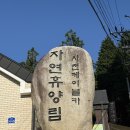사천케이블카자연휴양림(사천) | 사천자연휴양림은 사천케이블카자연휴양림으로