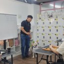 남양주애견미용학원 네이버블로그