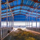 청산축산 이미지