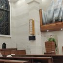 평화로운세상 이미지