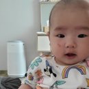 유호세탁 이미지