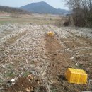 현희 농장 이미지