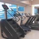 라인어클락 PT 이미지