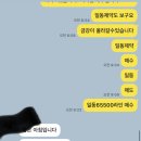 차니통신 네이버블로그