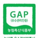세라네집 이미지