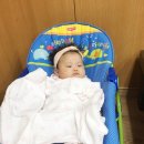 골목집영양탕 이미지