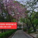 소망옷수선 이미지
