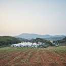 하누리마을 이미지