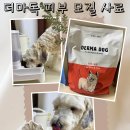 토리애드 | 더마독 피부&모질사료 급여 후기! 몸 긁던 우리 토리가 잘 먹는 더마독 피부사료