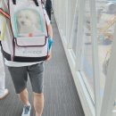 GS25 제주표선점 | 애견동반여행 구름이네 행복한 제주애견동반여행 1탄