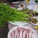 박소현미나리 이미지