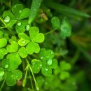 CU 대전반석역점 이미지