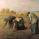 1807 Daum카페