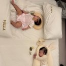 영월 감성숙소 벨라 독채풀빌라 | 영월 감성숙소 “벨라” 독채풀빌라