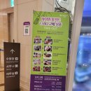 하이원 그랜드호텔 메인타워 사우나 이미지