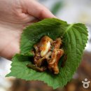 꼼장어네 이미지