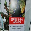 제주공룡휴게소박물관 이미지
