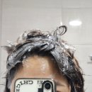 진성화학 | 수영 후엔 온다다시 샴푸 바디워시 후기 염소제거샴푸 추천