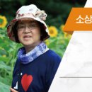 내린천래프팅협동조합