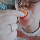태현쿡 한라봉떡 &amp; 하루방떡 영양간식 만점!!