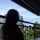 [안양 학의천 카페] &#34;그린앤그레이&#34; : 안양 야외 테라스 카페