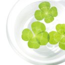 튼튼요양병원 이미지