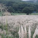 구지로 이미지