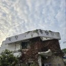 녹원쌈밥 | [연희동 맛집] 녹원쌈밥 방문 후기!