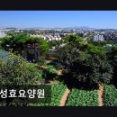 은성빌딩 | [부천 주간보호센터/추천/후기] 은성효요양원 가족 같은 마음으로 돌봄 제공