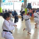 충무 합기도 이미지