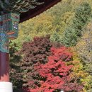 설악동 C2 주차장 이미지