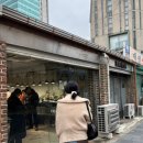 웨트 | 용산/삼각지 괴근식물 샵_웨트룸 후기 (Feat. 팝업)