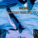 영종도 인스파이어 리조트 주차 꿀팁, 카페 루시카토 후기