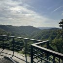 남부권 골프연습장 이미지