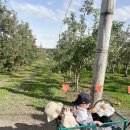 화덕농장 이미지