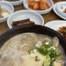다다삼계탕 | [부산북구]초복에는 몸보신! 부산맛집 부산 현지인 맛집 부산북구맛집 다다삼계탕