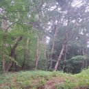 담양 용마루길 &amp; 과녁바위산 이미지