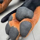 노웨어하우스 이미지