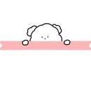 리얼포케 네이버블로그