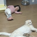 (주)모두가 이미지