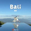 물개스테이 | [투어스테이 발리 후기] 나야와 요만과 함께한 즐거운 허니문 발리 7박 9일 여행기(팀장_강하연)