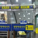 대명꽃도매