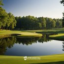 썬밸리리조트 고흥지점 이미지