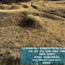 바른장묘 - 정읍시 중앙로 105-8 | 바른장묘
