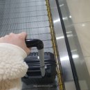 개산경로당 | [블챌] 포토덤프 3주차 2 제주 여행 (상)