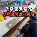 경주주택바퀴벌레퇴치 프로세븐과 함께하세요