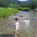 청도편백숲하우스 이미지