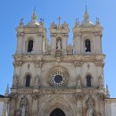 Day 21 - 알코바사 수도원 Mosteiro de Santa Maria de Alcobaça 여행 후기