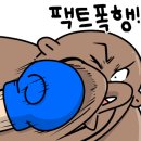 다이나복싱체육관 이미지